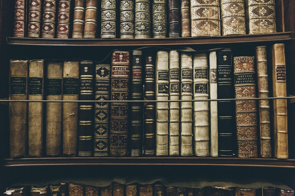 Books Library Reading Education - StockSnap / Pixabay